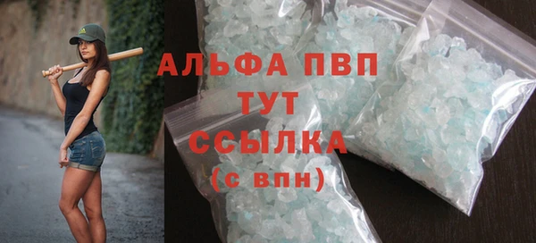 гидра Богданович