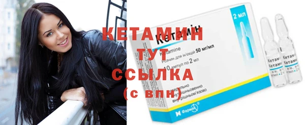 гидра Богданович