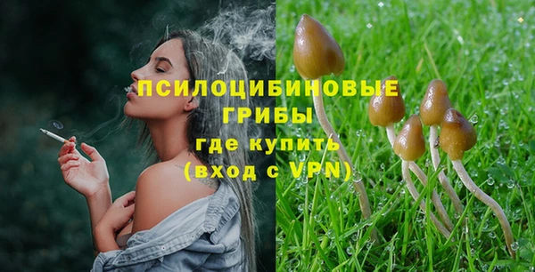 гидра Богданович