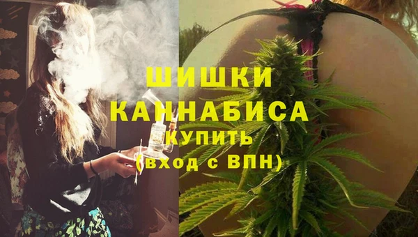 гидра Богданович