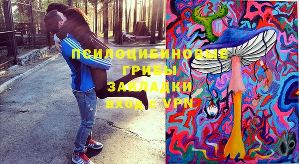 синтетический гашиш Богородицк