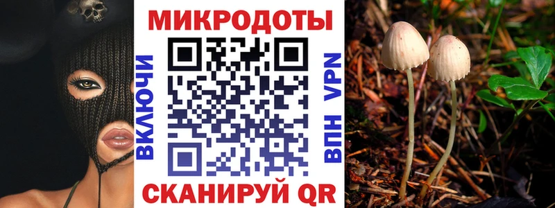 Галлюциногенные грибы мицелий  Томск 